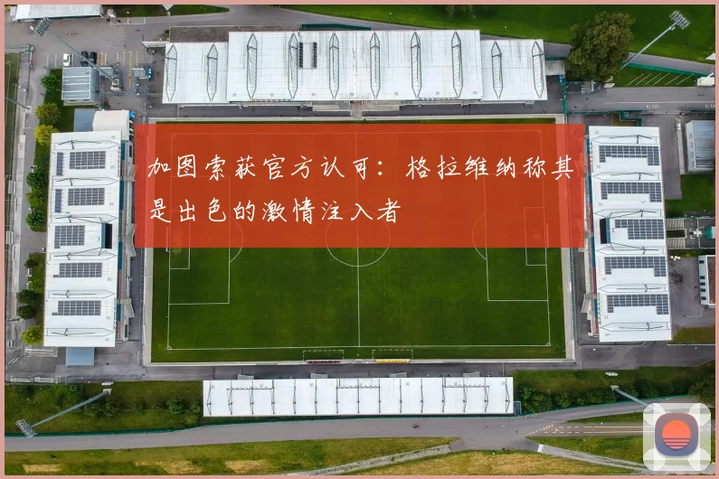 加图索获官方认可：格拉维纳称其是出色的激情注入者