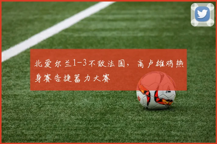 北爱尔兰1-3不敌法国,高卢雄鸡热身赛告捷蓄力大赛