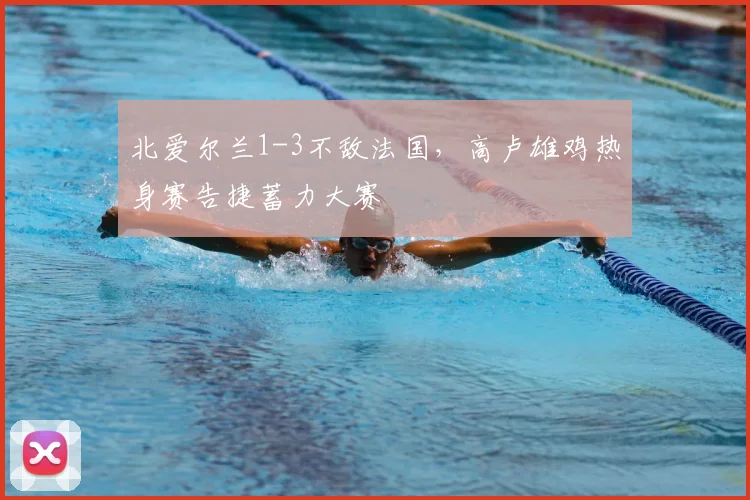 北爱尔兰1-3不敌法国，高卢雄鸡热身赛告捷蓄力大赛
